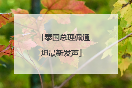 泰国总理佩通坦最新发声