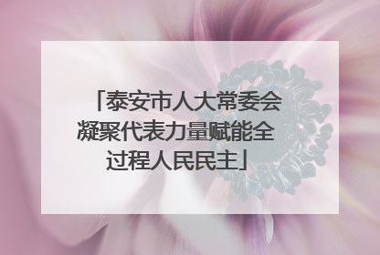 泰安市人大常委会凝聚代表力量赋能全过程人民民主