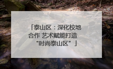 泰山区：深化校地合作 艺术赋能打造“时尚泰山区”