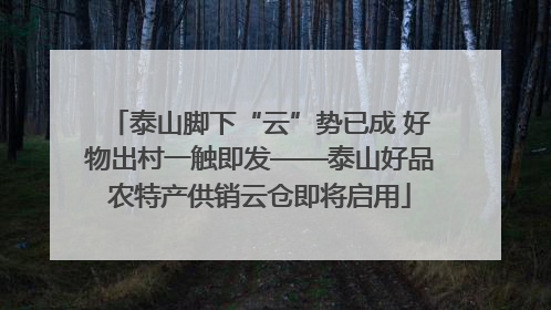 泰山脚下“云”势已成 好物出村一触即发——泰山好品农特产供销云仓即将启用