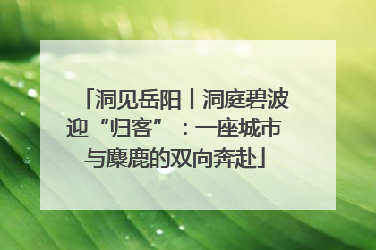 洞见岳阳丨洞庭碧波迎“归客”：一座城市与麋鹿的双向奔赴