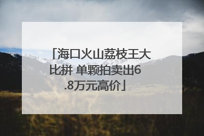 海口火山荔枝王大比拼 单颗拍卖出6.8万元高价