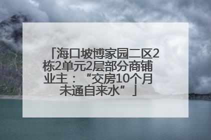 海口坡博家园二区2栋2单元2层部分商铺业主：“交房10个月未通自来水”