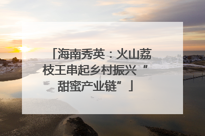 海南秀英：火山荔枝王串起乡村振兴“甜蜜产业链”