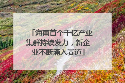 海南首个千亿产业集群持续发力，新企业不断涌入赛道