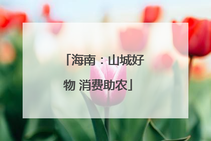 海南：山城好物 消费助农