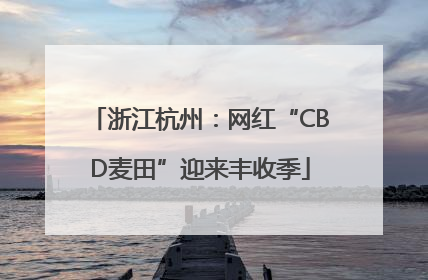 浙江杭州：网红“CBD麦田”迎来丰收季