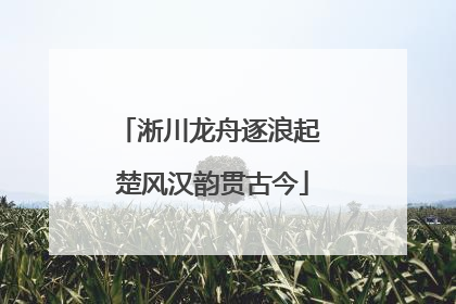 淅川龙舟逐浪起 楚风汉韵贯古今