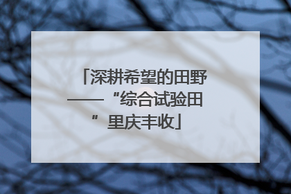 深耕希望的田野——“综合试验田”里庆丰收