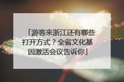 游客来浙江还有哪些打开方式？全省文化基因激活会议告诉你