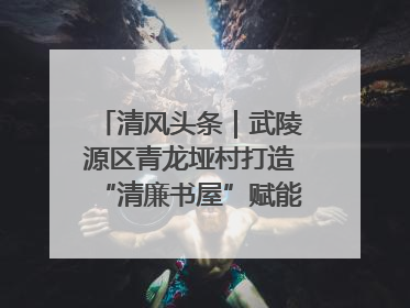 清风头条｜武陵源区青龙垭村打造“清廉书屋”赋能乡村振兴新风尚