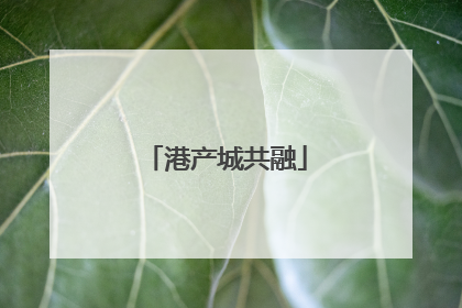 港产城共融