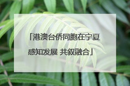 港澳台侨同胞在宁夏感知发展 共叙融合