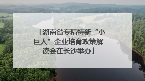 湖南省专精特新“小巨人”企业培育政策解读会在长沙举办