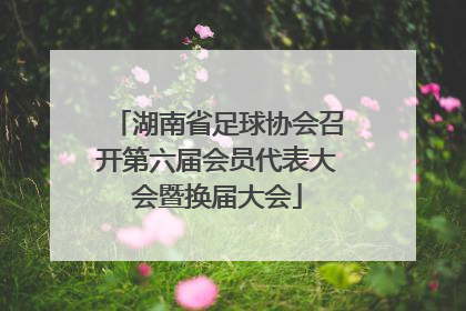 湖南省足球协会召开第六届会员代表大会暨换届大会