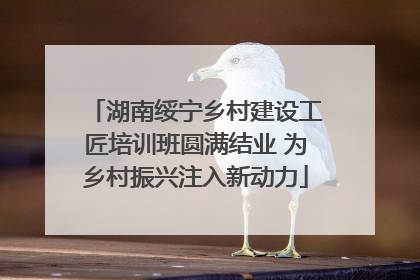 湖南绥宁乡村建设工匠培训班圆满结业 为乡村振兴注入新动力