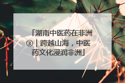 湖南中医药在非洲③｜跨越山海，中医药文化浸润非洲