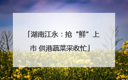 湖南江永：抢“鲜”上市 供港蔬菜采收忙