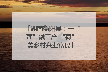 湖南衡阳县：一“莲”融三产 “荷”美乡村兴业富民