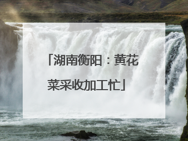 湖南衡阳：黄花菜采收加工忙