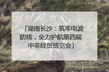 湖南长沙：筑牢电波防线，全力护航第四届中非经贸博览会