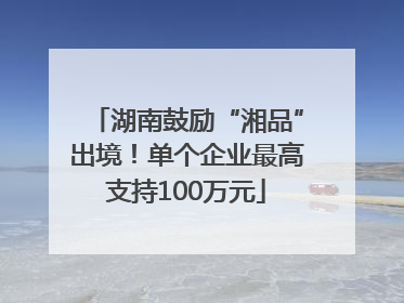 湖南鼓励“湘品”出境！单个企业最高支持100万元