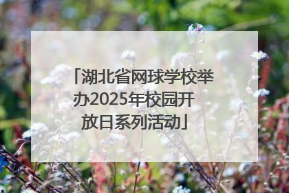 湖北省网球学校举办2025年校园开放日系列活动