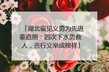 湖北省见义勇为先进秦遵照：四次下水勇救人，善行义举成榜样