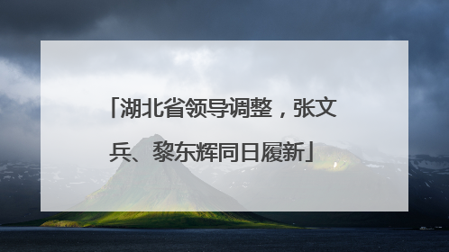 湖北省领导调整，张文兵、黎东辉同日履新