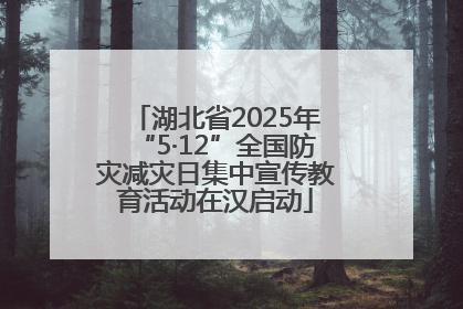 湖北省2025年“5·12”全国防灾减灾日集中宣传教育活动在汉启动