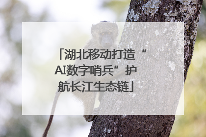 湖北移动打造“AI数字哨兵”护航长江生态链