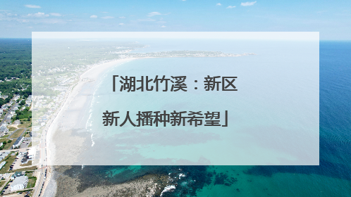湖北竹溪：新区新人播种新希望