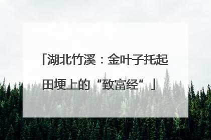 湖北竹溪：金叶子托起田埂上的“致富经”