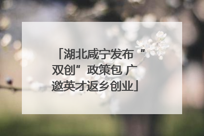 湖北咸宁发布“双创”政策包 广邀英才返乡创业
