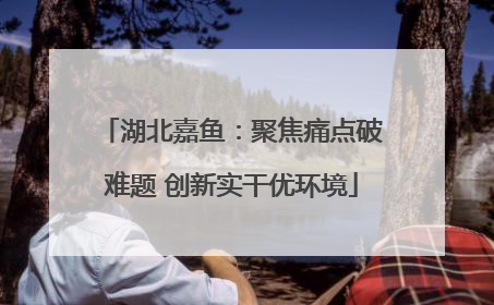 湖北嘉鱼：聚焦痛点破难题 创新实干优环境