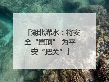 湖北浠水：将安全“置顶” 为平安“把关”