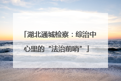 湖北通城检察：综治中心里的“法治前哨”