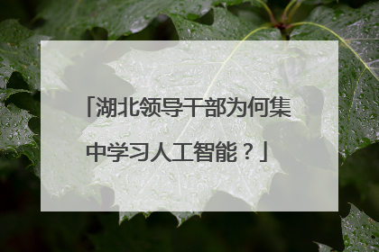 湖北领导干部为何集中学习人工智能？