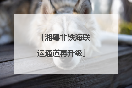 湘粤非铁海联运通道再升级