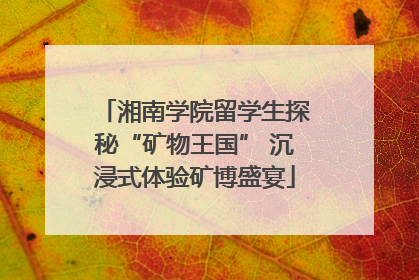 湘南学院留学生探秘“矿物王国” 沉浸式体验矿博盛宴