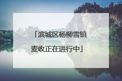 滨城区杨柳雪镇麦收正在进行中