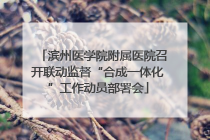 滨州医学院附属医院召开联动监督“合成一体化”工作动员部署会