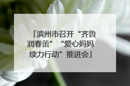 滨州市召开“齐鲁润春蕾”“爱心妈妈续力行动”推进会