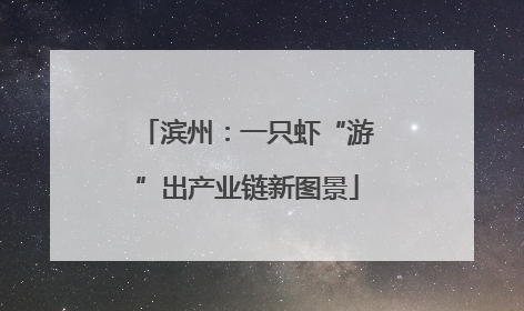 滨州：一只虾“游”出产业链新图景