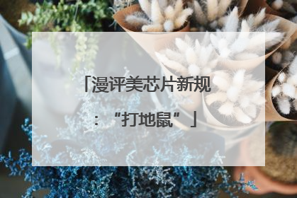 漫评美芯片新规：“打地鼠”