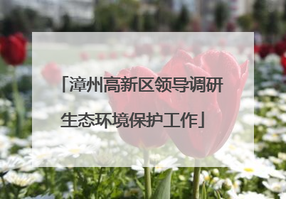 漳州高新区领导调研生态环境保护工作