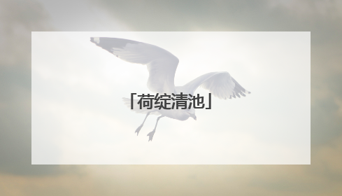 荷绽清池