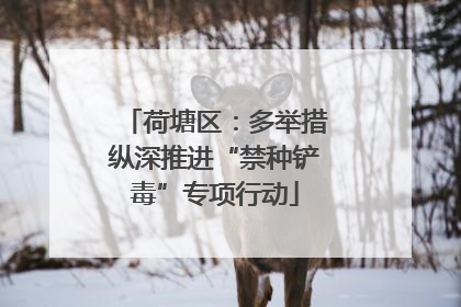 荷塘区：多举措纵深推进“禁种铲毒”专项行动