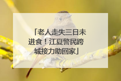 老人走失三日未进食！江夏警民跨城接力助回家