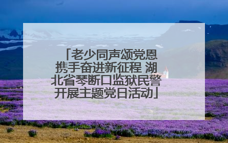 老少同声颂党恩 携手奋进新征程 湖北省琴断口监狱民警开展主题党日活动